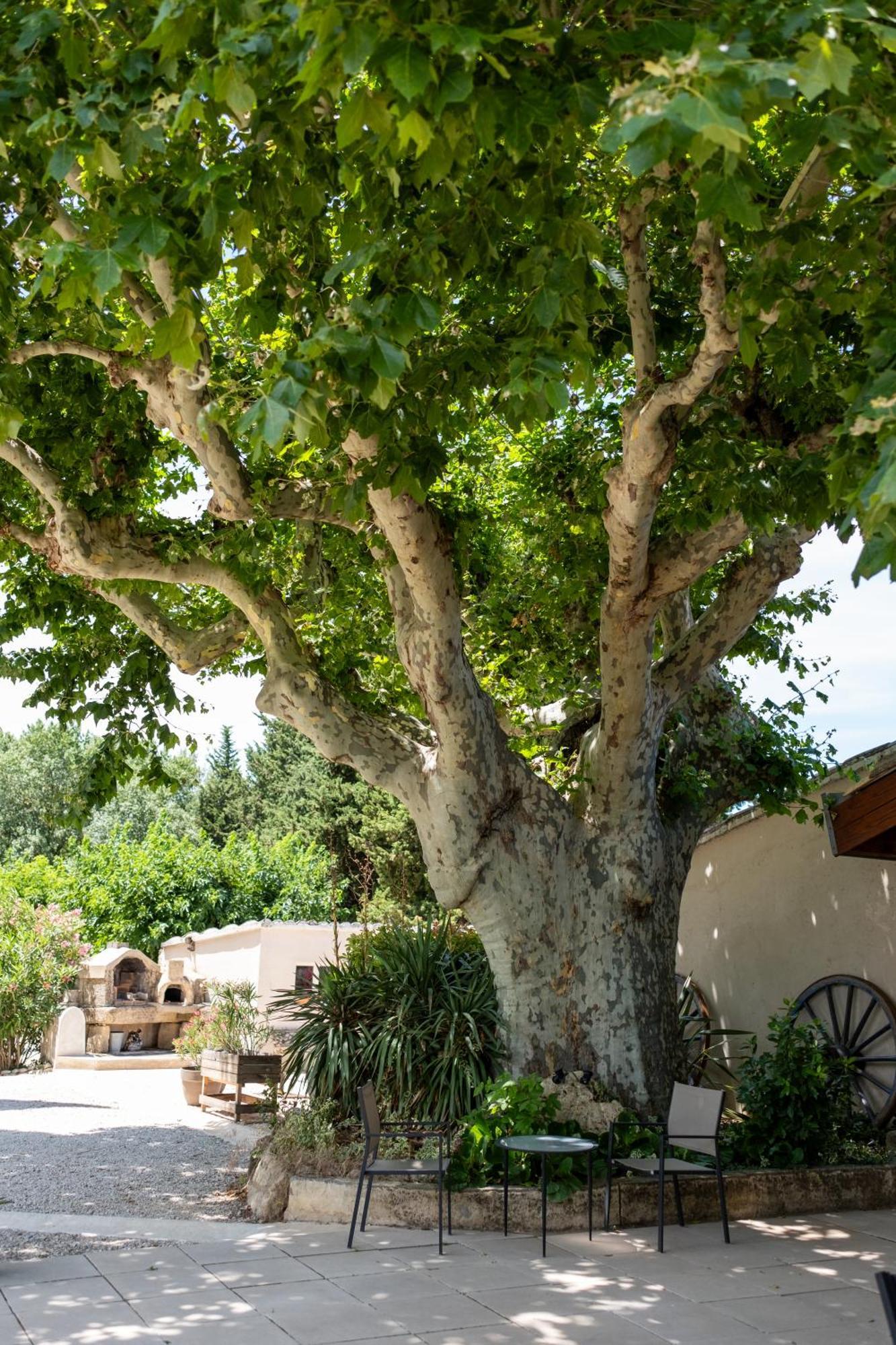 Le Vieux Platane Hotel Cairanne Екстериор снимка